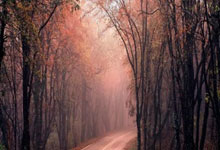 瓦伦西亚战胜对手，稳固暂列前四