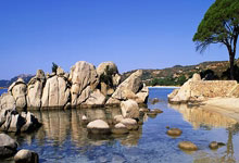 瓦伦西亚战胜对手，稳固暂列前四